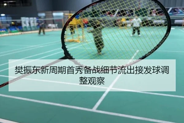 樊振东新周期首秀备战细节流出接发球调整观察